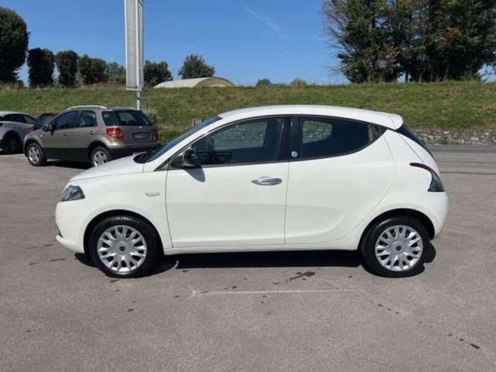 Lancia Ypsilon usata a Lucca (2)