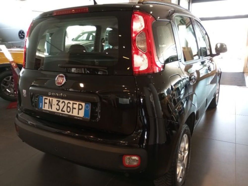 Fiat Panda usata a Modena (3)