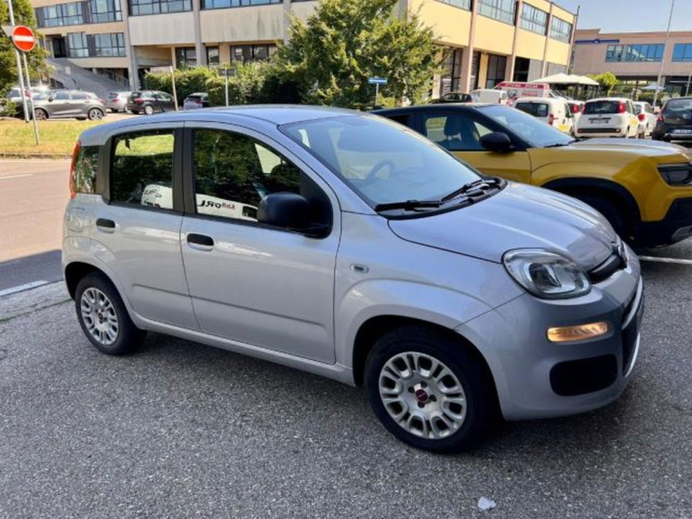 Fiat Panda usata a Modena