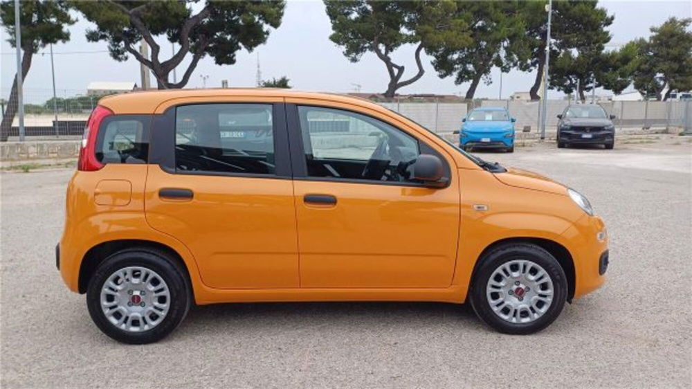 Fiat Panda usata a Bari (4)