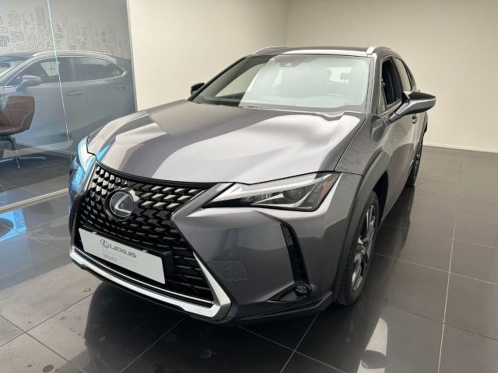 Lexus UX usata a Cuneo