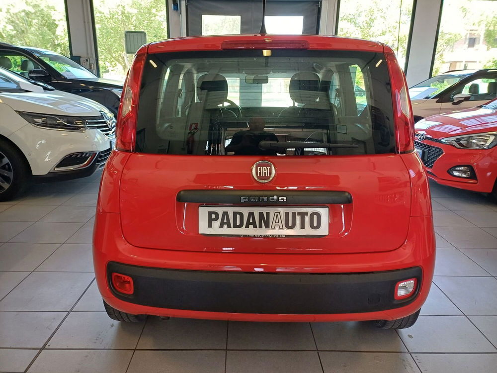 Fiat Panda usata a Ferrara (4)