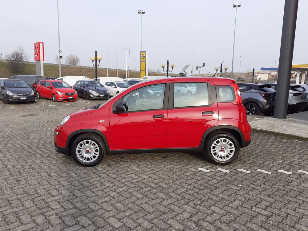 Fiat Panda Cross nuova a Parma (4)