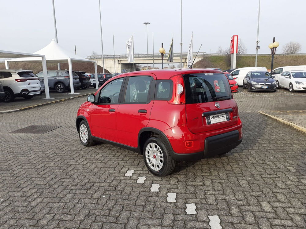 Fiat Panda Cross nuova a Parma (5)