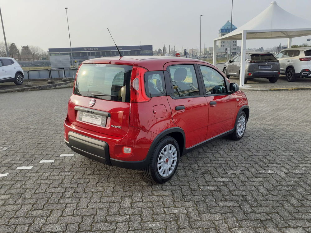 Fiat Panda Cross nuova a Parma (7)