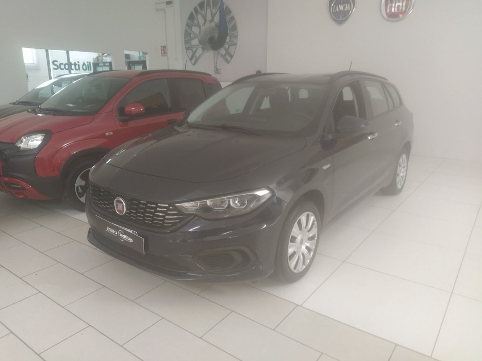 Fiat Tipo Station Wagon Tipo 1.6 Mjt S&amp;S SW Easy Business del 2019 usata a Castelfiorentino