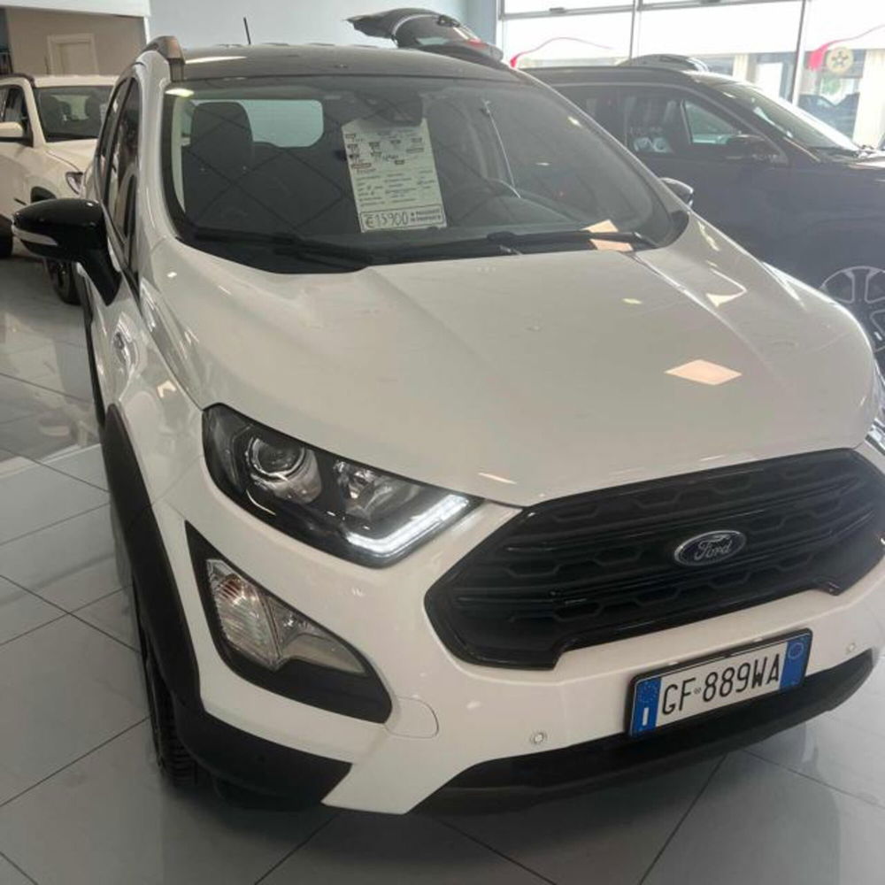 Ford EcoSport usata a Ferrara