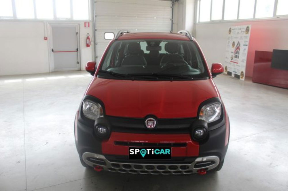 Fiat Panda Cross usata a Terni (2)