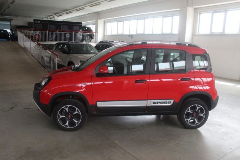 Fiat Panda Cross usata a Terni (3)