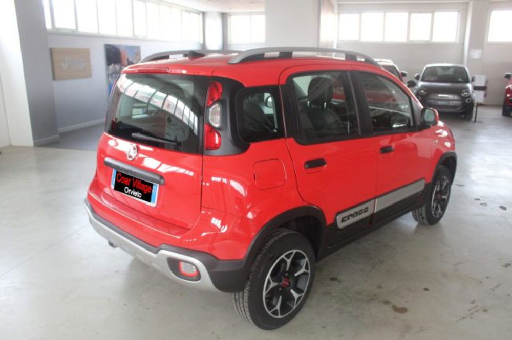 Fiat Panda Cross usata a Terni (4)