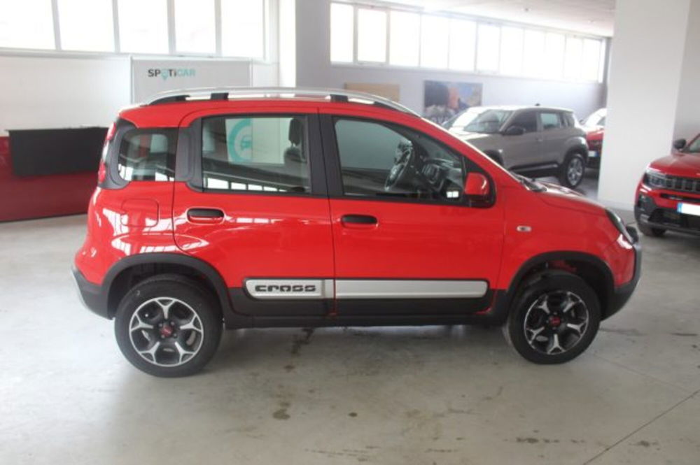 Fiat Panda Cross usata a Terni (6)