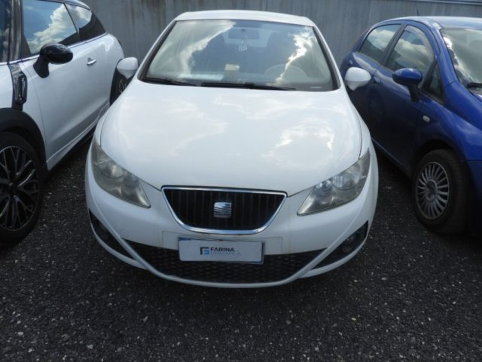 SEAT Ibiza SC 1.2 60 CV 3p.  del 2011 usata a Marcianise