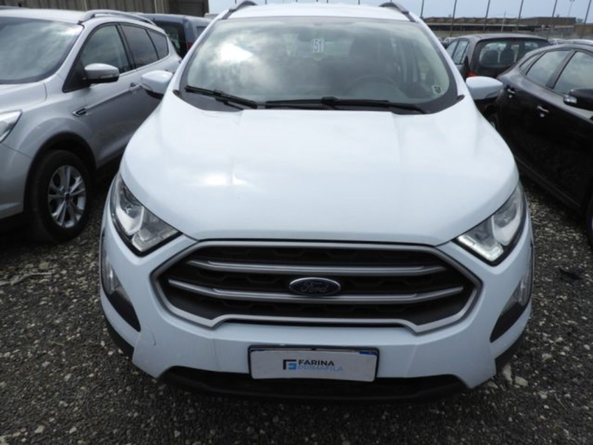 Ford EcoSport 1.5 TDCi 100 CV Start&amp;Stop Plus  del 2018 usata a Marcianise