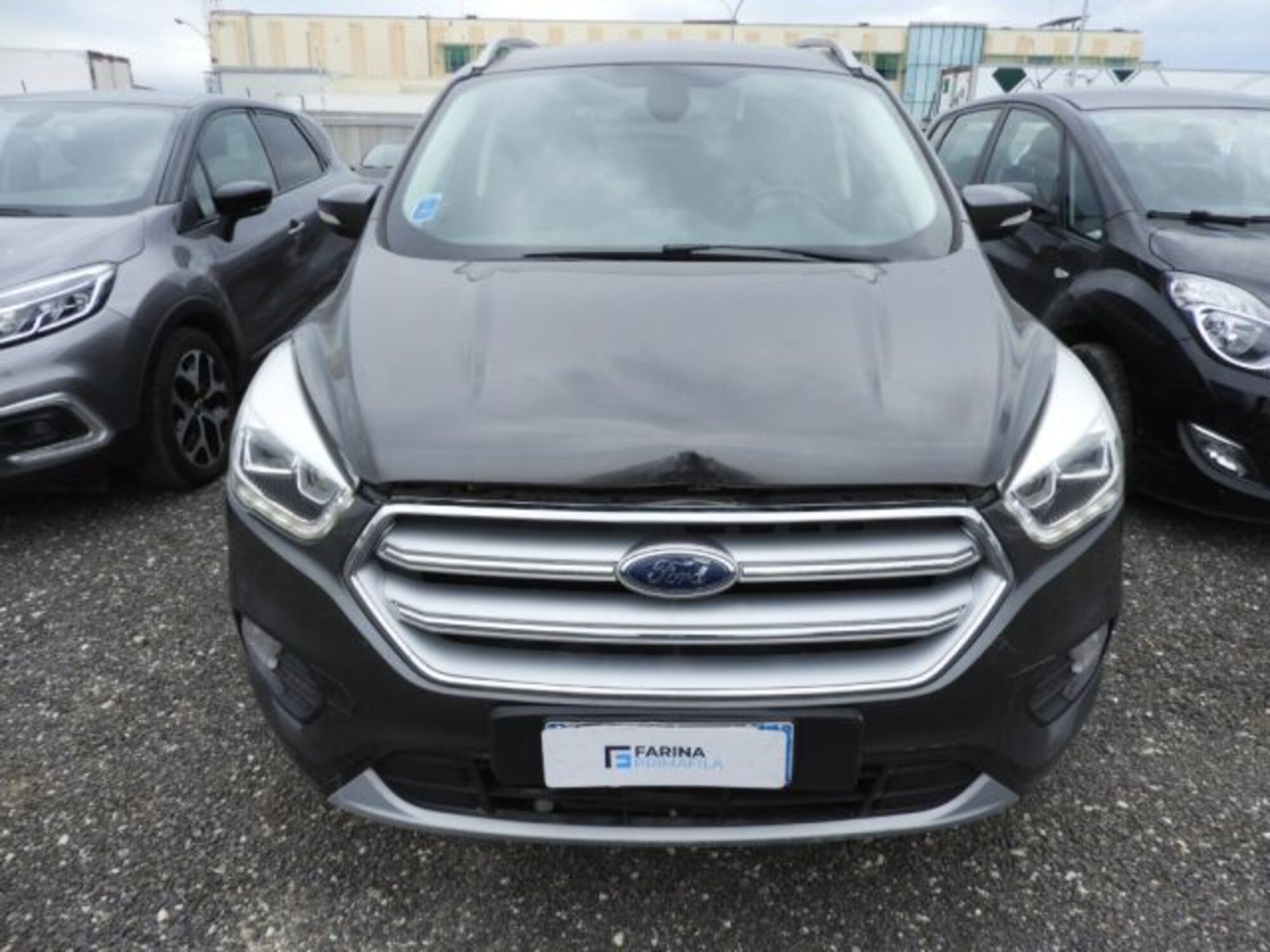 Ford Kuga 1.5 TDCI 120 CV S&amp;S 2WD Powershift Titanium  del 2018 usata a Marcianise