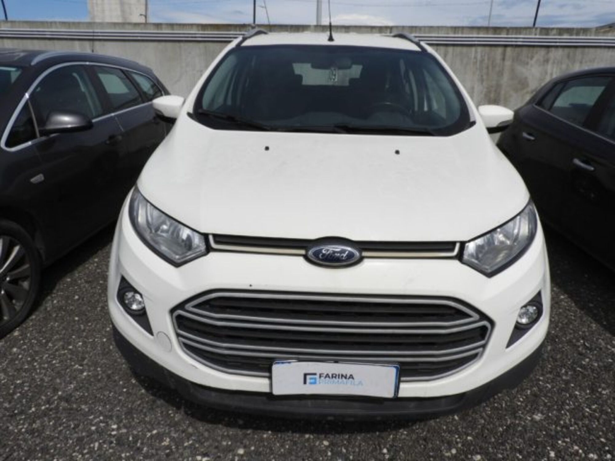 Ford EcoSport 1.5 TDCi 95 CV Plus del 2017 usata a Marcianise