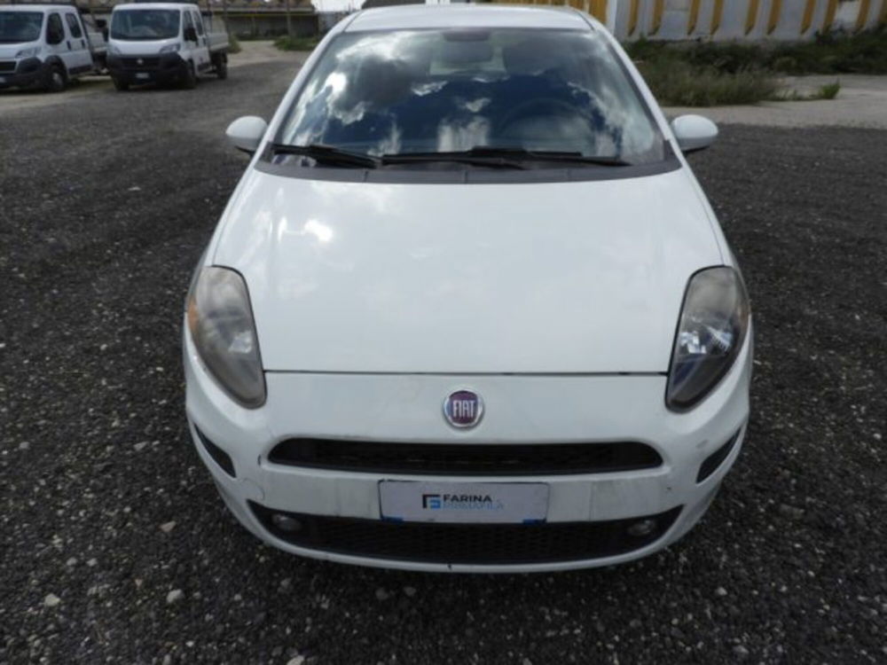 Fiat Punto Evo usata a Caserta