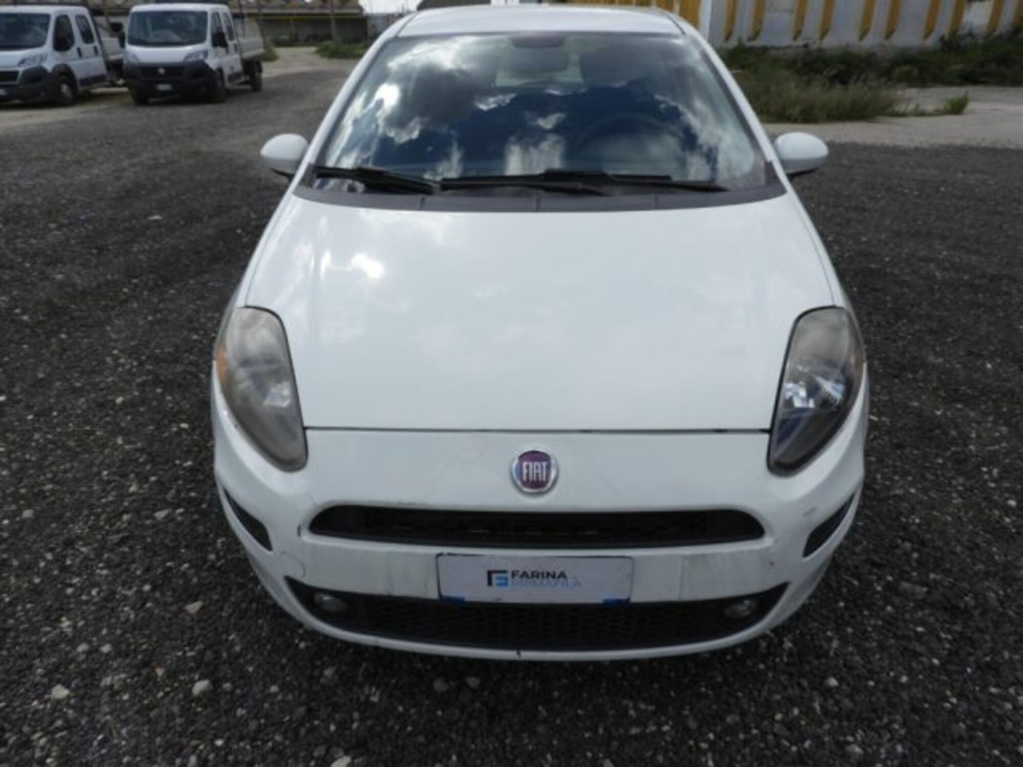 Fiat Punto Evo 1.3 Mjt 90 CV 5 porte Dualogic Sport del 2014 usata a Marcianise