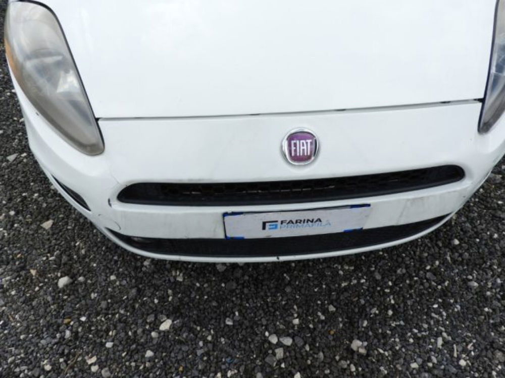 Fiat Punto Evo usata a Caserta (11)