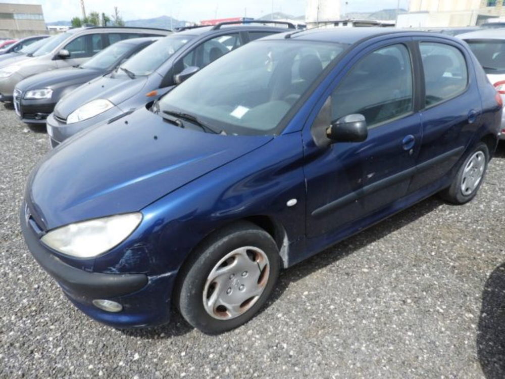 Peugeot 206 usata a Caserta (2)