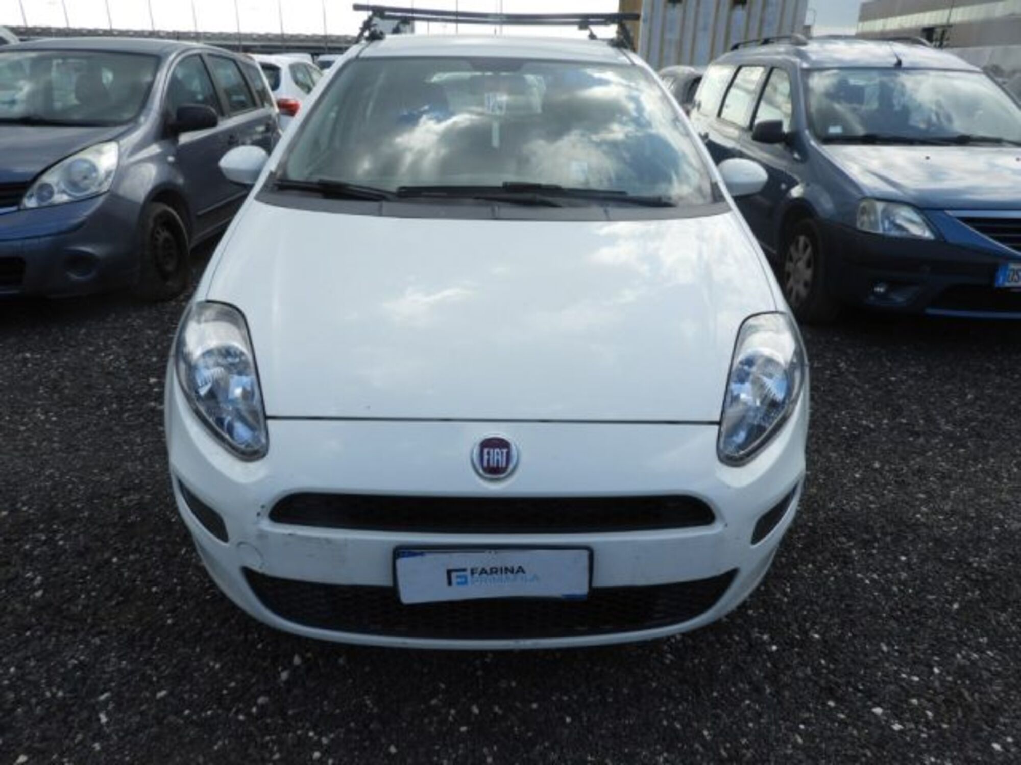 Fiat Punto 1.4 8V 5 porte Easypower Street  del 2015 usata a Marcianise