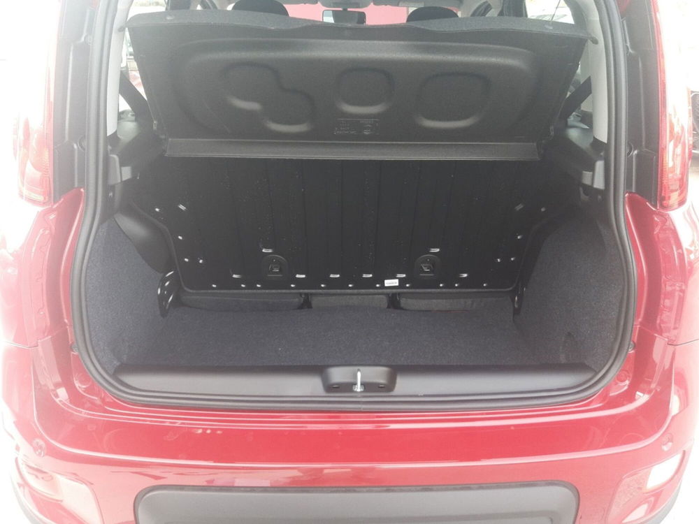 Fiat Panda Cross nuova a Campobasso (14)