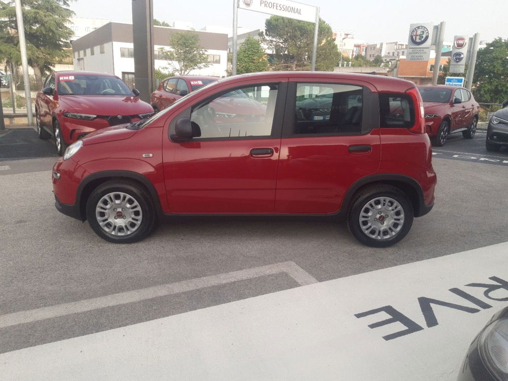 Fiat Panda Cross nuova a Campobasso (2)