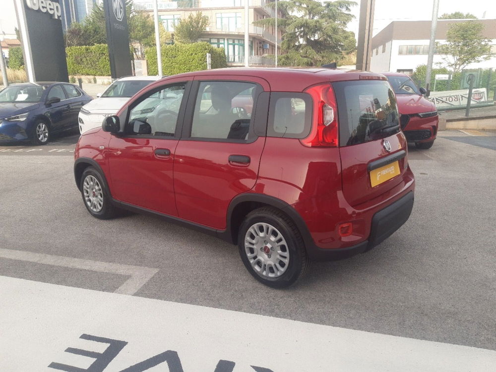 Fiat Panda Cross nuova a Campobasso (3)