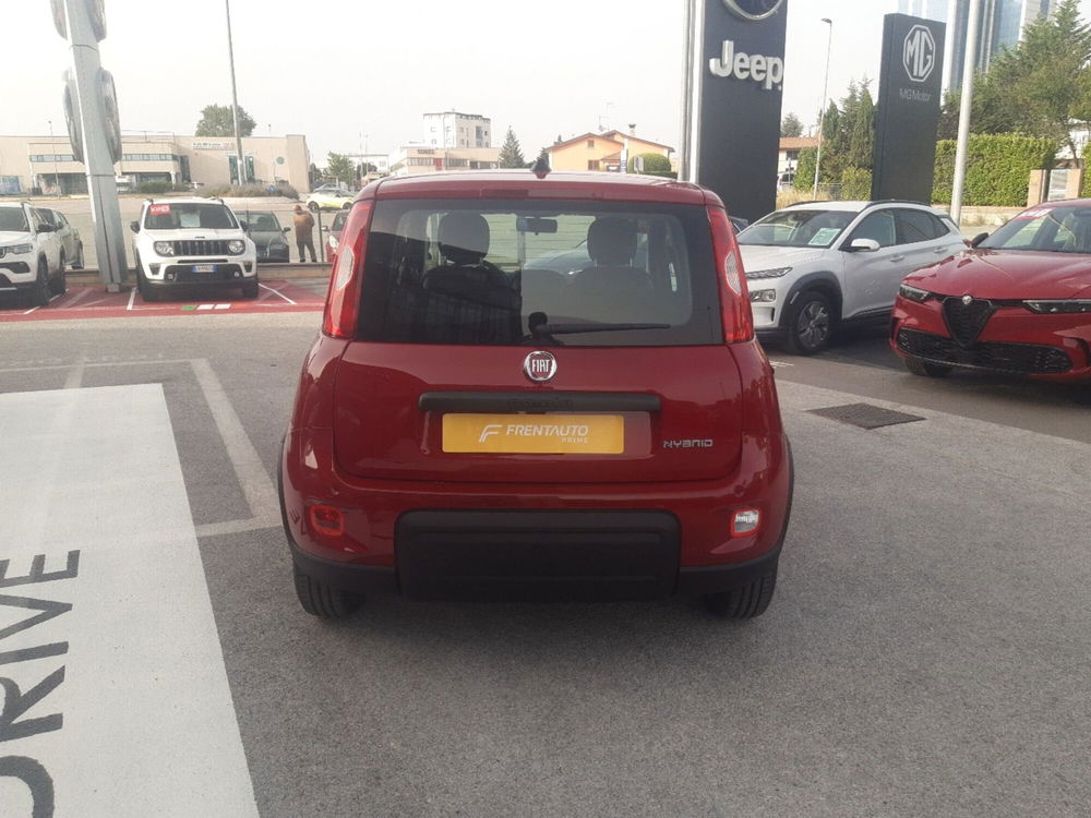 Fiat Panda Cross nuova a Campobasso (4)