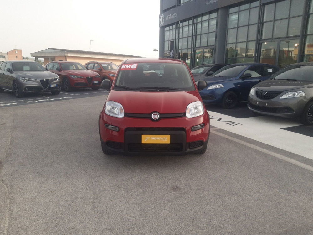 Fiat Panda Cross nuova a Campobasso (5)