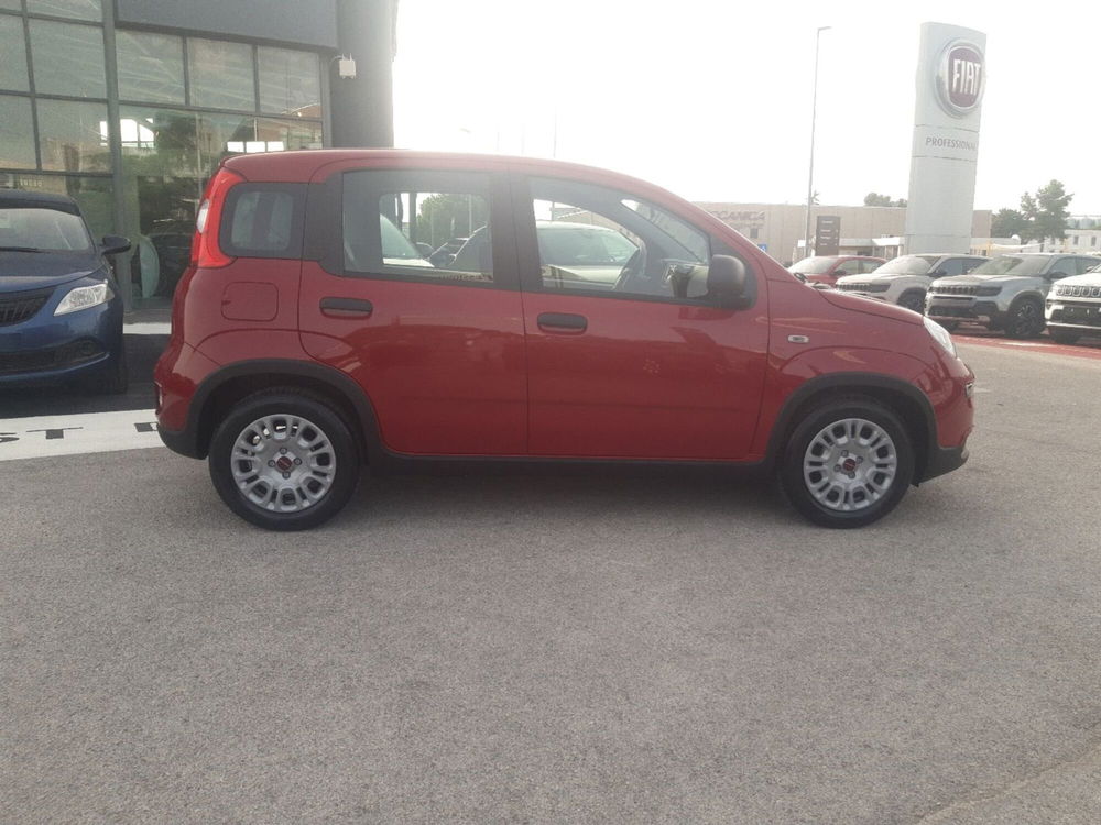 Fiat Panda Cross nuova a Campobasso (7)