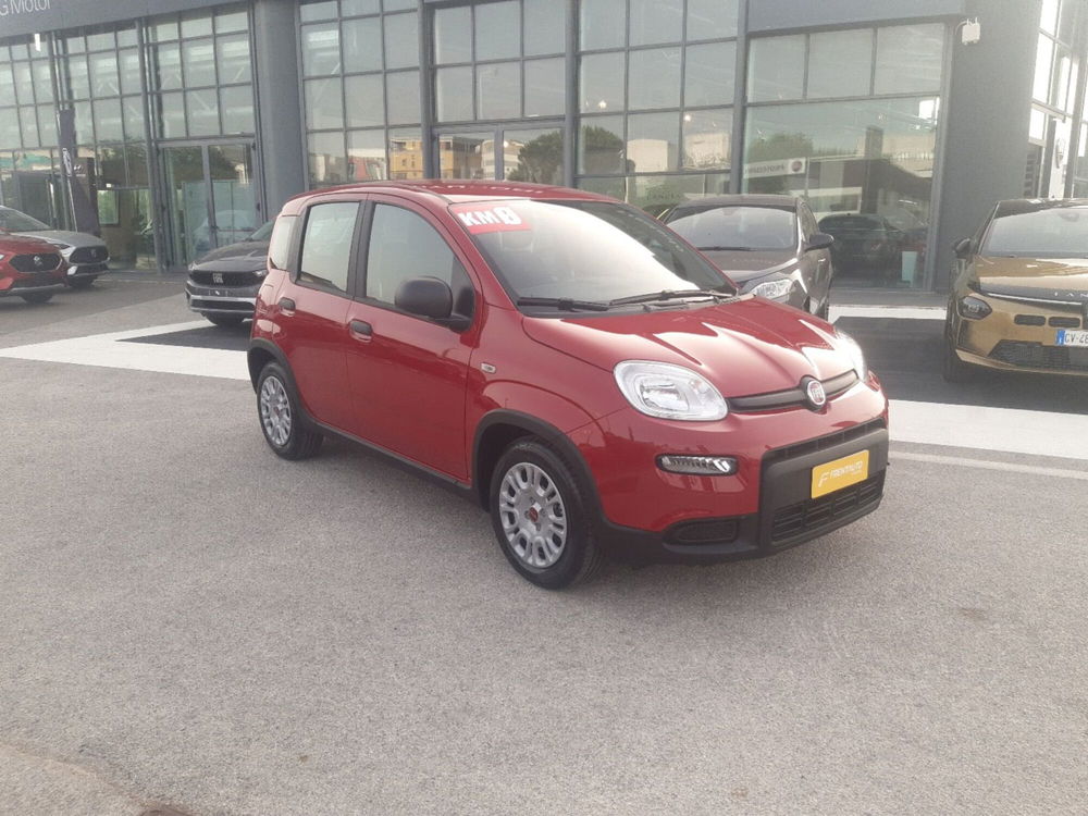 Fiat Panda Cross nuova a Campobasso (8)