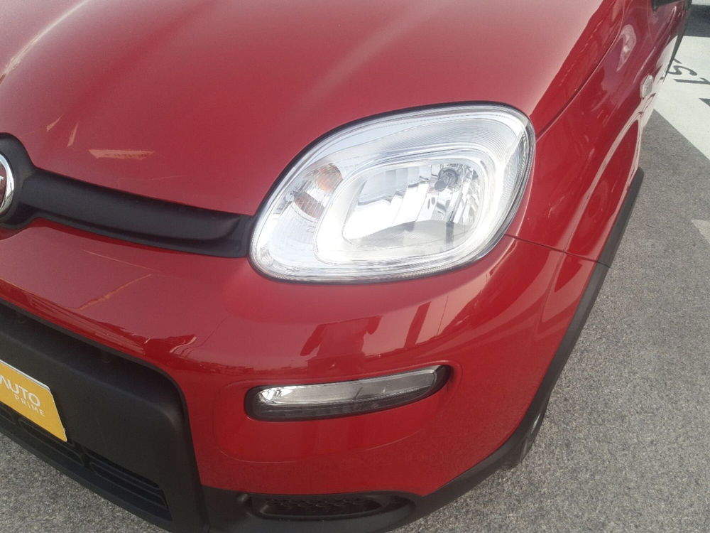 Fiat Panda Cross nuova a Campobasso (9)