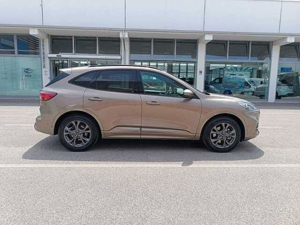 Ford Kuga usata a Vicenza (12)