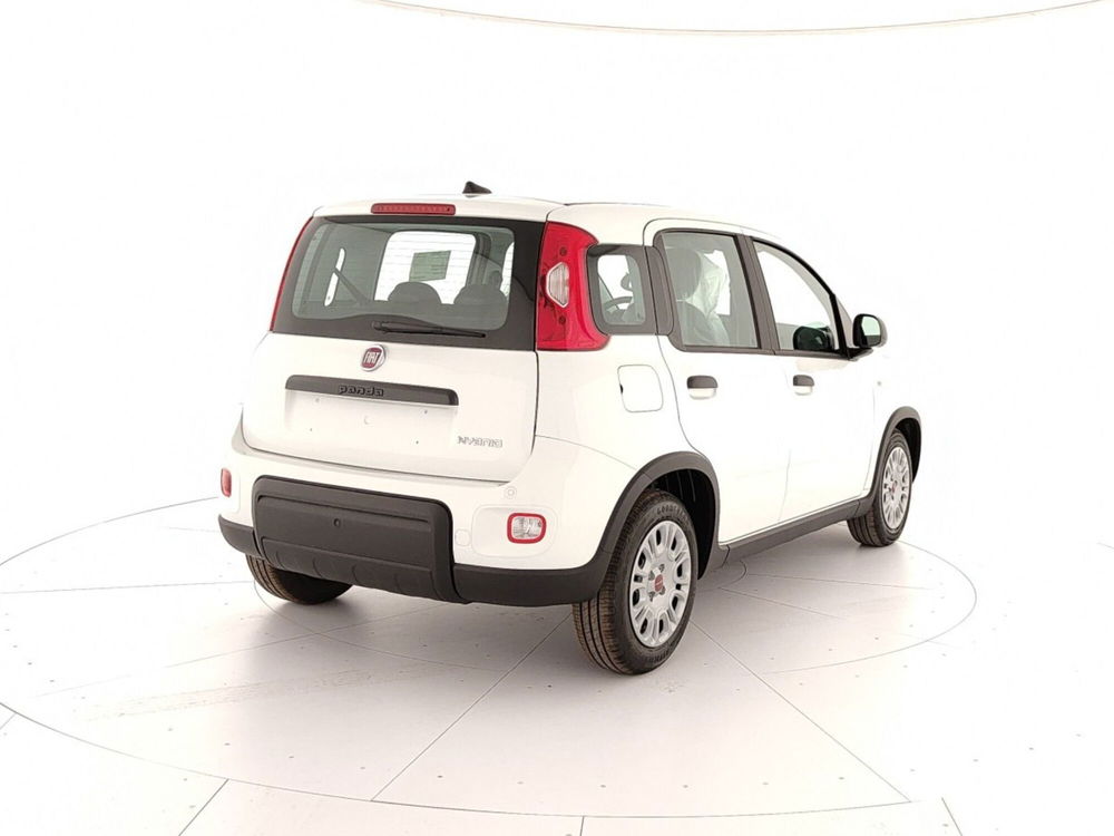 Fiat Panda nuova a Caserta (6)