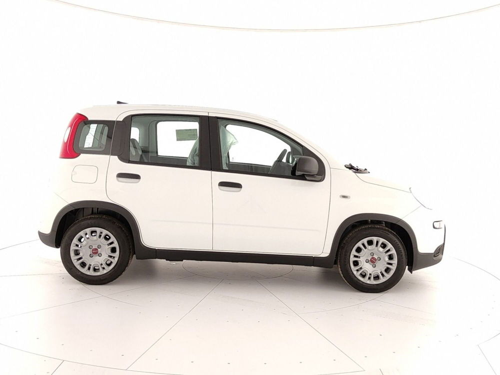 Fiat Panda nuova a Caserta (7)