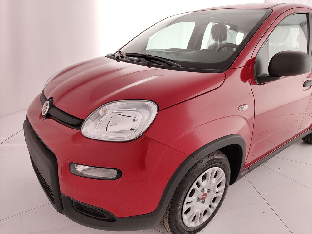 Fiat Panda Cross nuova a Caserta (11)