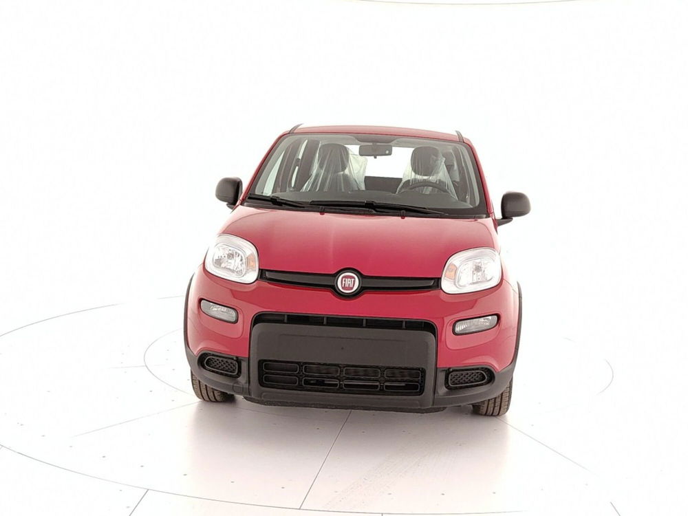 Fiat Panda Cross nuova a Caserta (2)