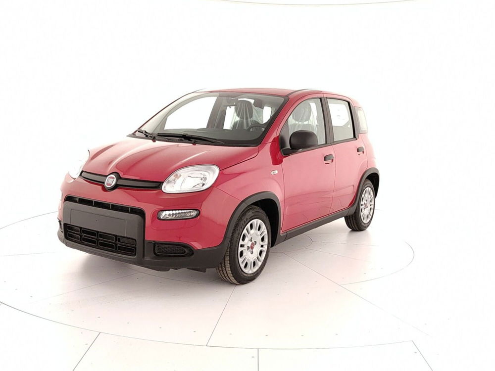 Fiat Panda Cross nuova a Caserta (3)