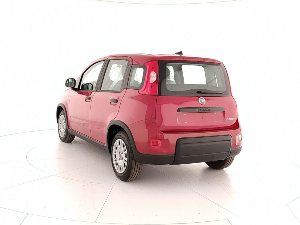 Fiat Panda Cross nuova a Caserta (4)