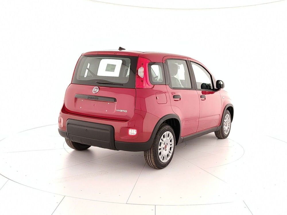 Fiat Panda Cross nuova a Caserta (6)