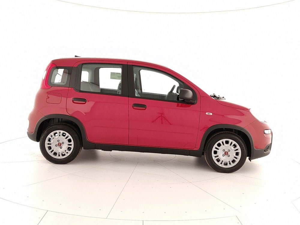 Fiat Panda Cross nuova a Caserta (7)