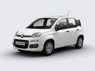 Fiat Panda 1.0 firefly hybrid s&amp;s 70cv 5p.ti nuova a Torino