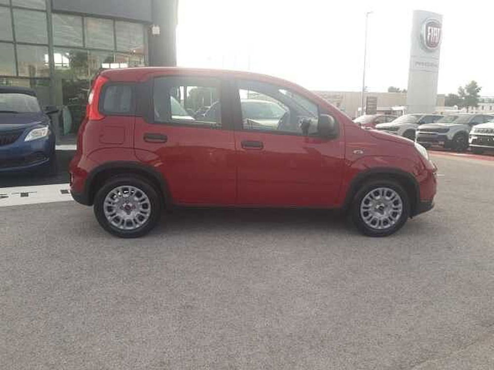 Fiat Panda nuova a Ancona (7)