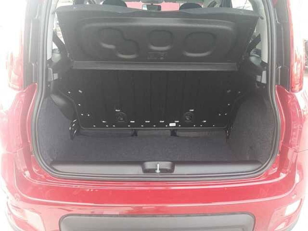 Fiat Panda Cross nuova a Ancona (14)