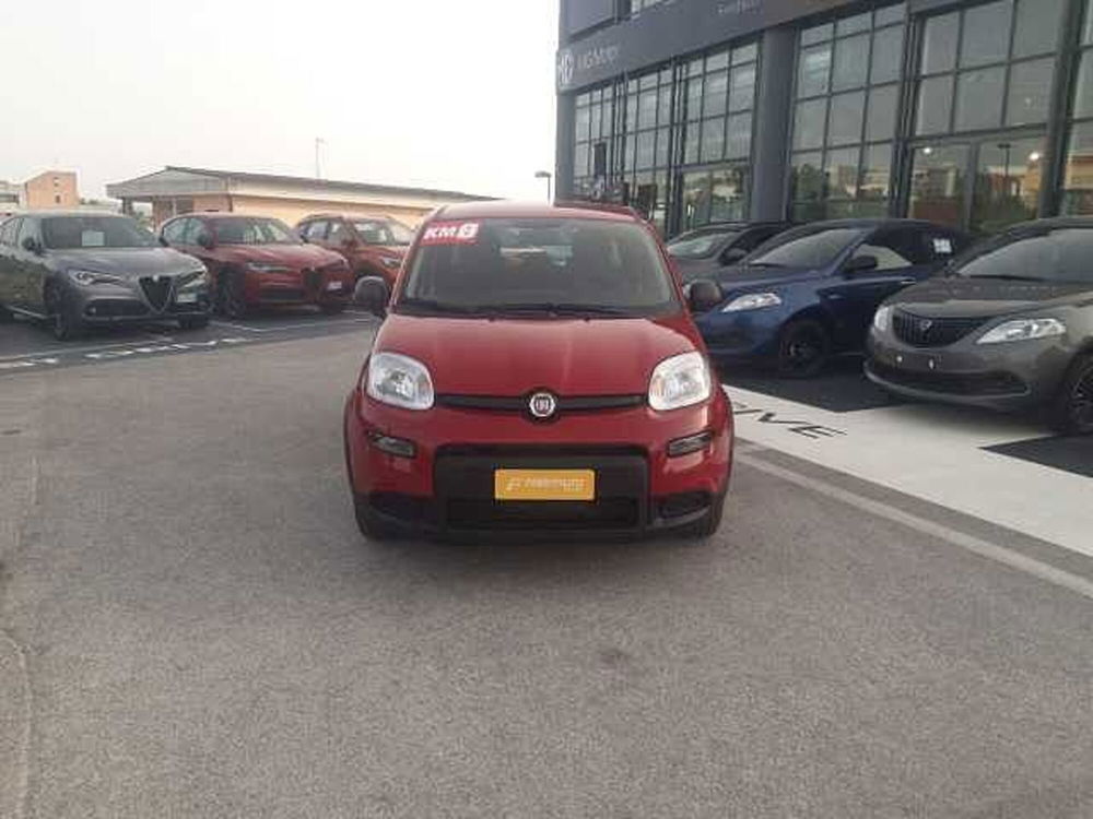 Fiat Panda Cross nuova a Ancona (5)