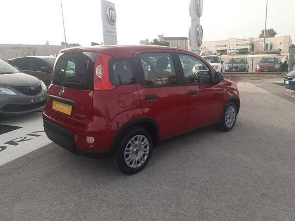 Fiat Panda Cross nuova a Ancona (6)