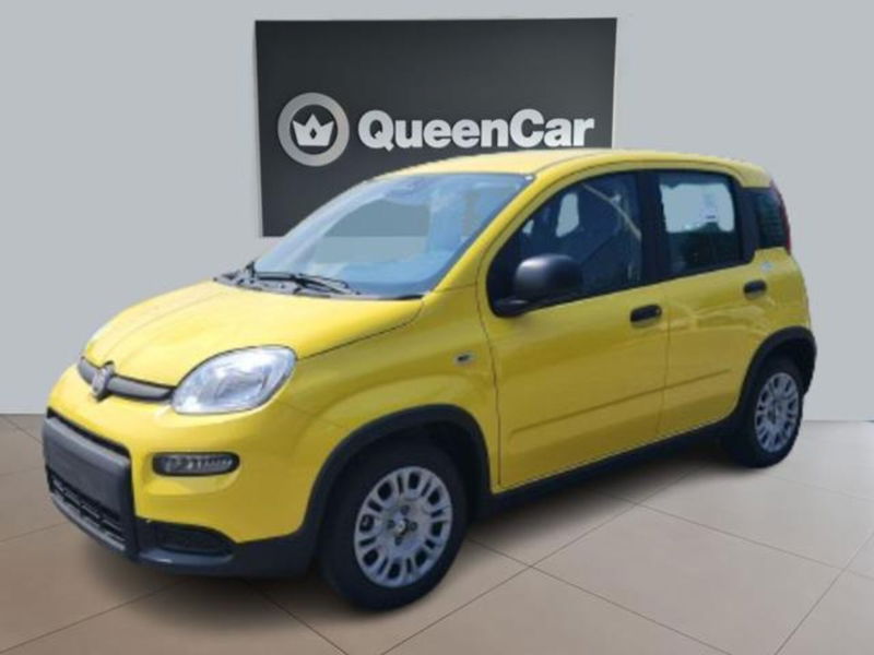 Fiat Panda 1.0 firefly hybrid s&amp;s 70cv 5p.ti nuova a Pianezza