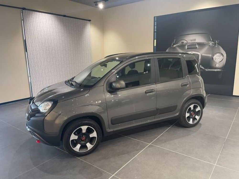 Fiat Panda Cross usata a Aosta (8)