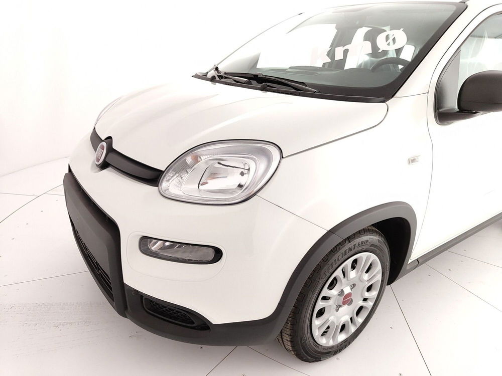 Fiat Panda Cross nuova a Caserta (11)