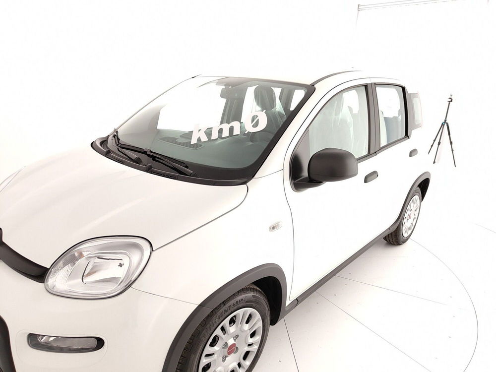 Fiat Panda Cross nuova a Caserta (12)